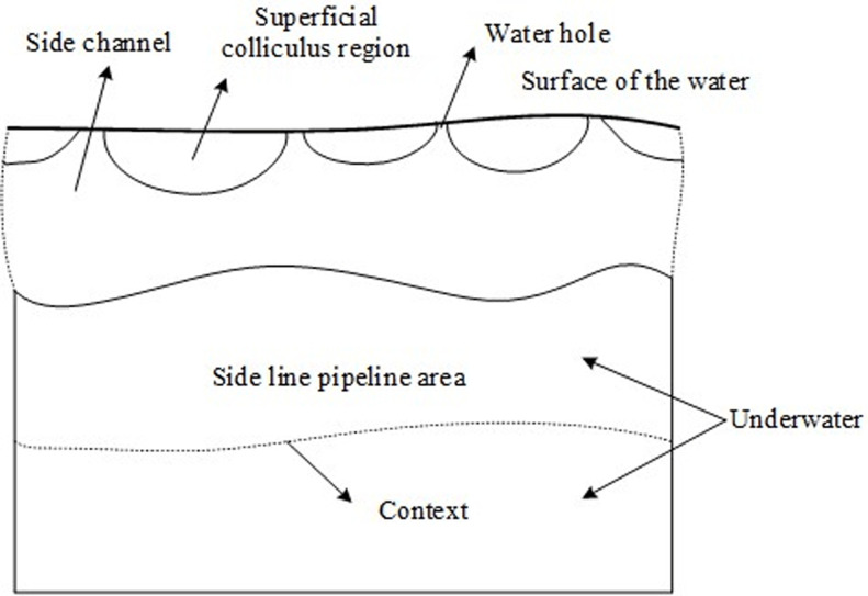 Figure 44