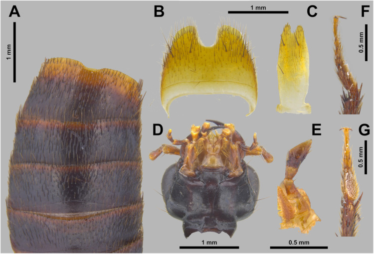 Figure 10