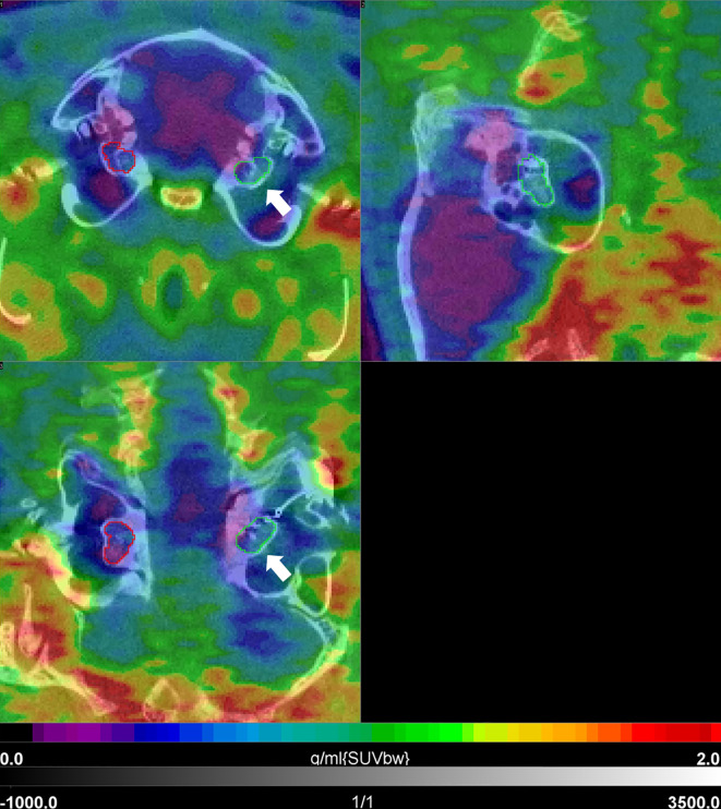 Figure 6