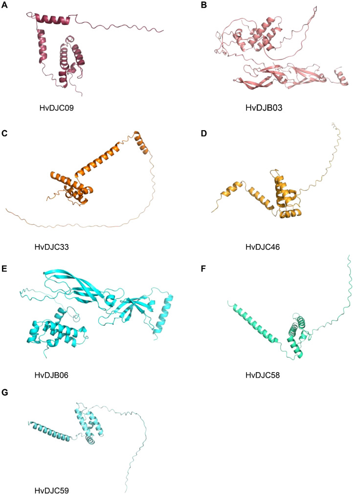 Figure 7