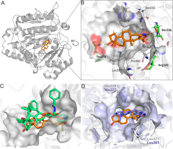 Figure 5
