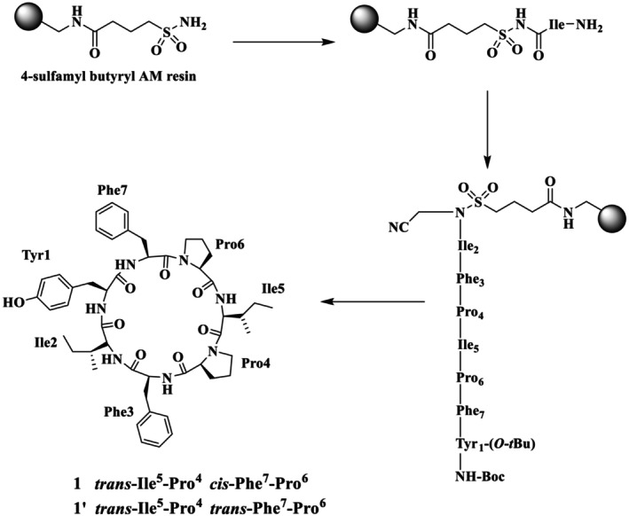 Figure 4
