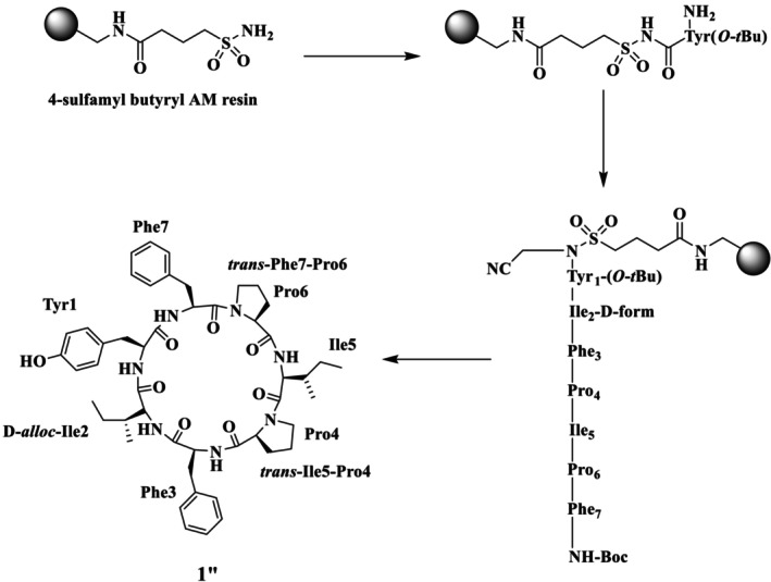 Figure 11