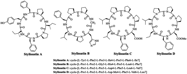 Figure 12