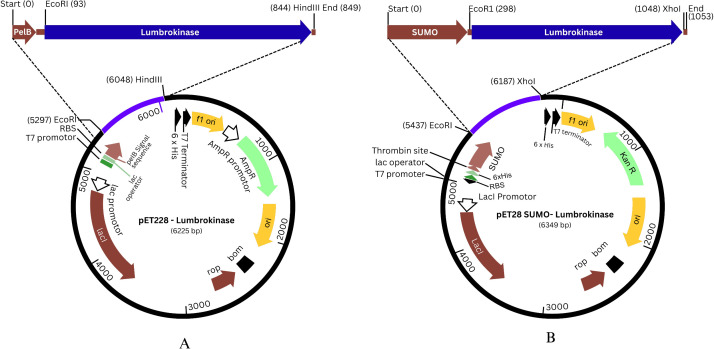 Fig 7
