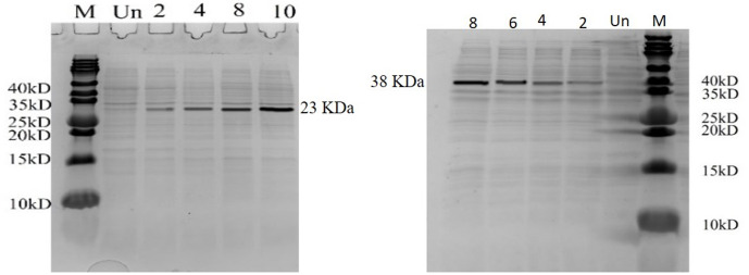 Fig 9