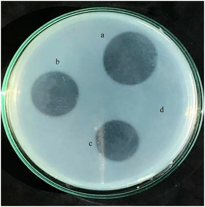 Fig 11