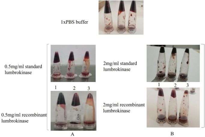 Fig 12