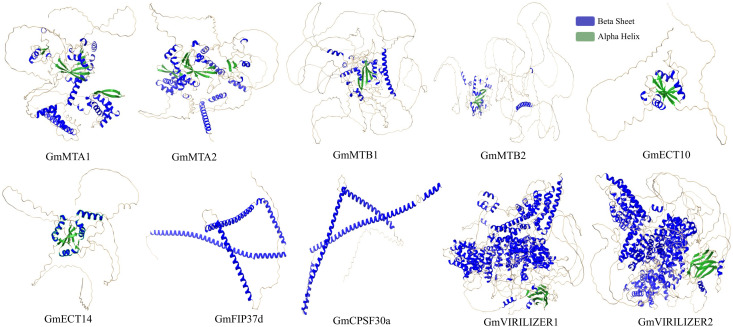 Fig 6