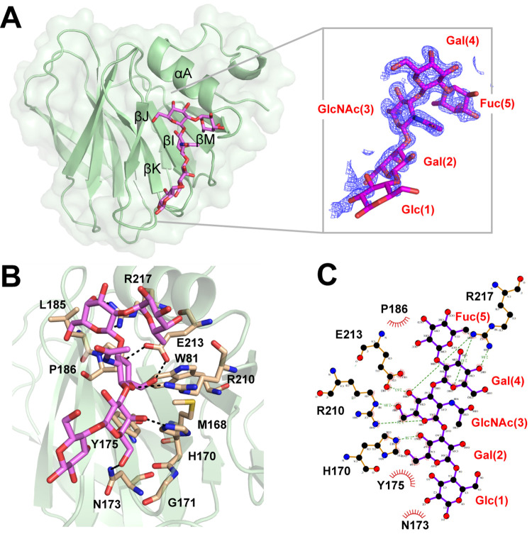 Fig 3
