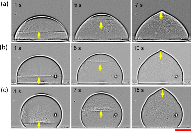 Figure 9