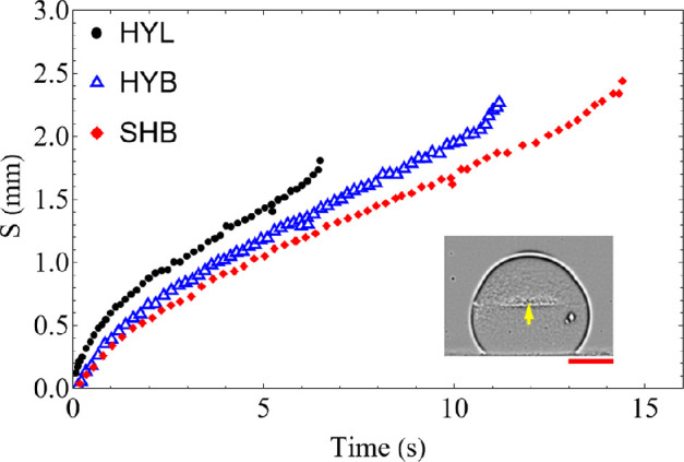 Figure 10