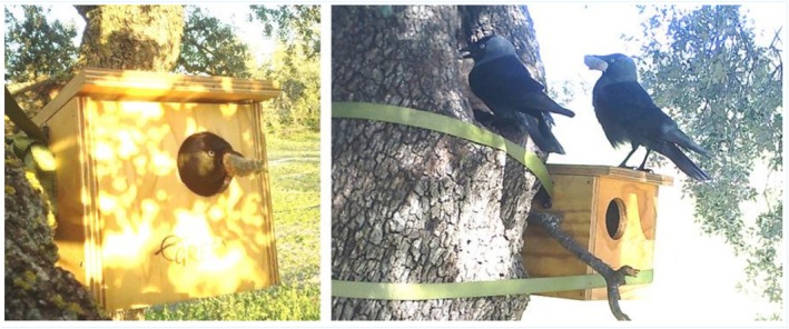 FIGURE 2
