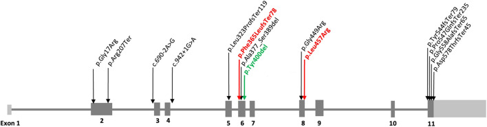 FIGURE 1