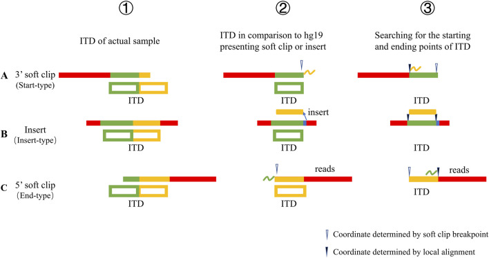 FIGURE 1