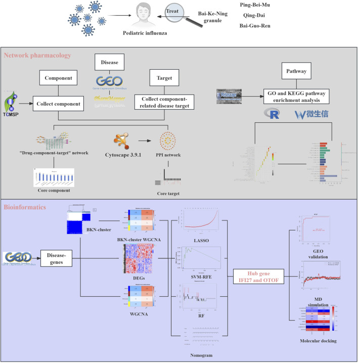 FIGURE 1
