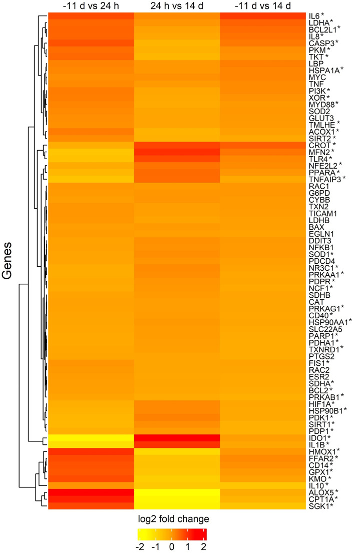 Figure 6
