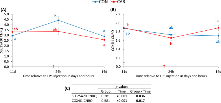 Figure 7