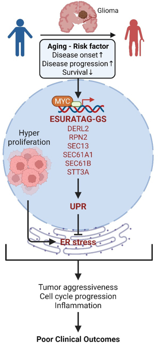 FIGURE 11