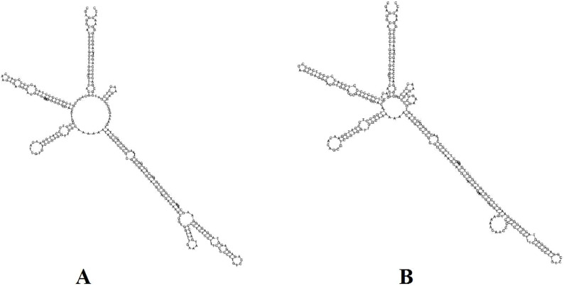 FIGURE 8