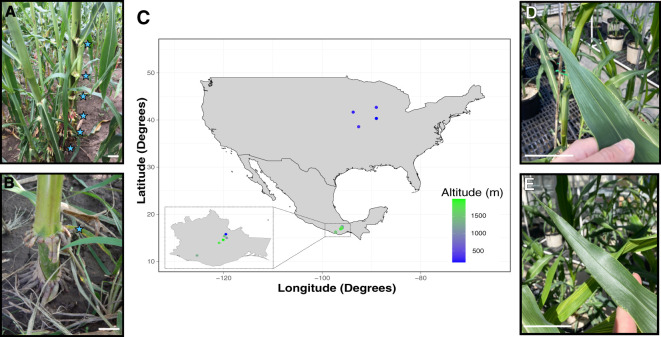 Figure 1