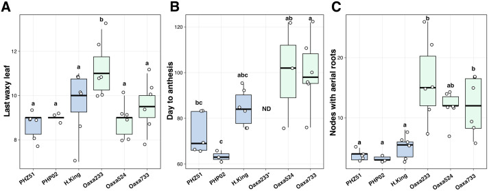 Figure 2