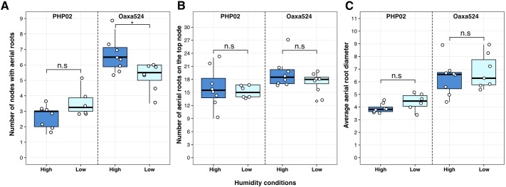 Figure 5