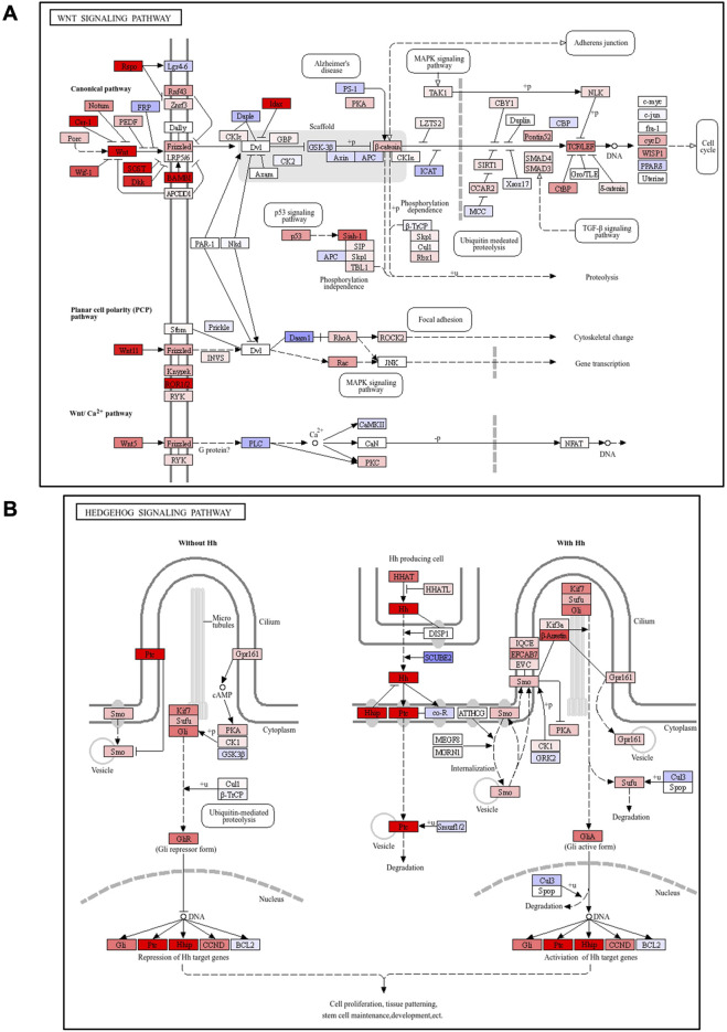 FIGURE 4