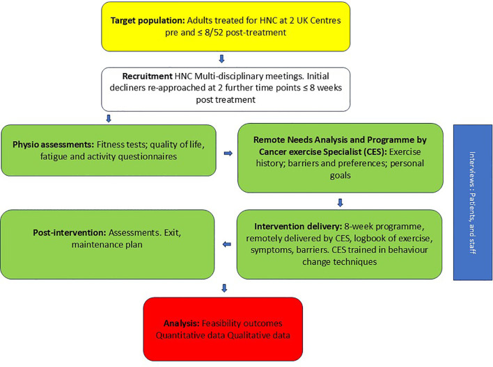 Figure 1