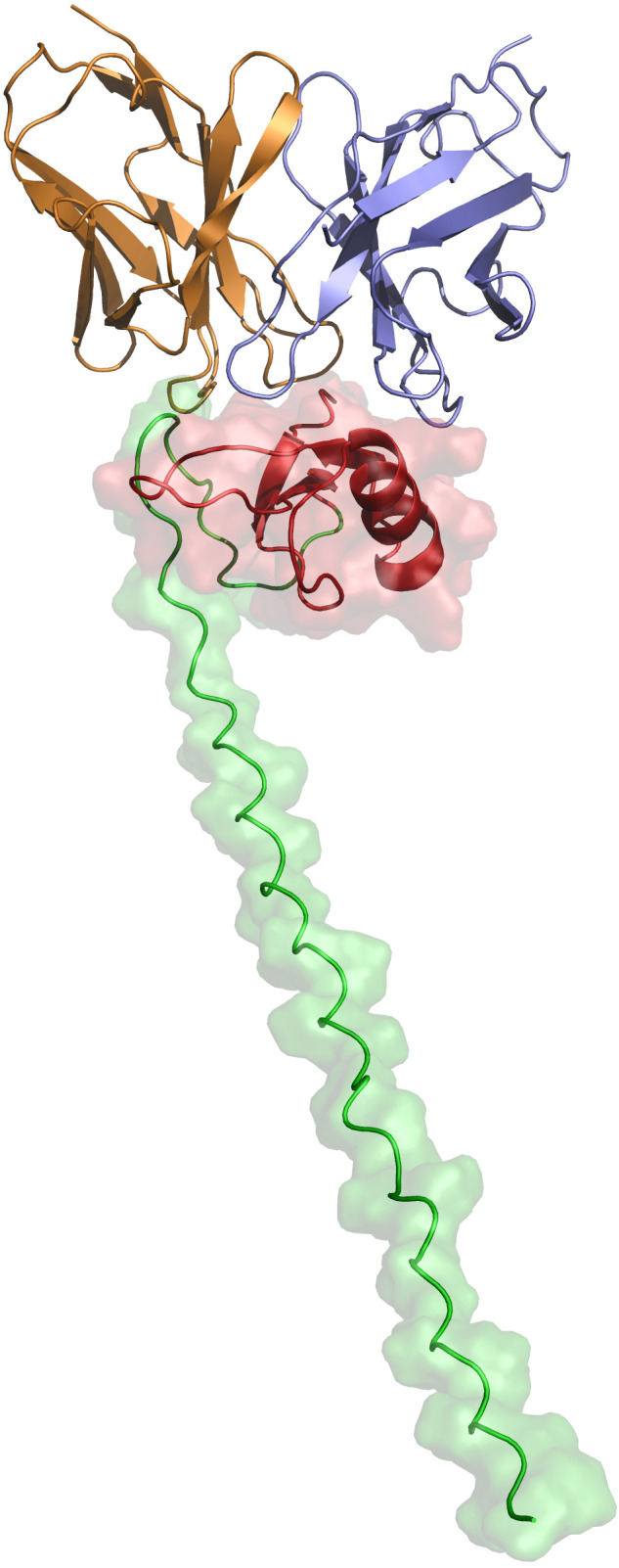 Figure 5