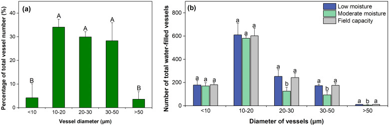 Figure 5