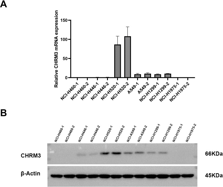 Figure 1