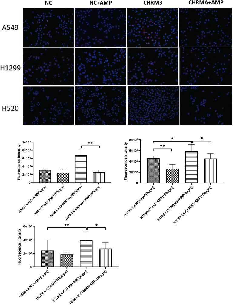 Figure 3