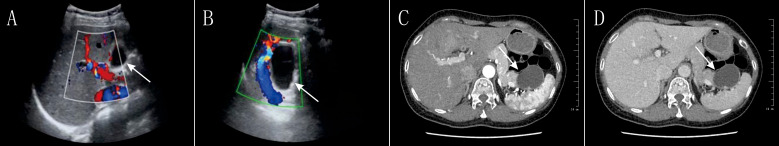 Figure 1