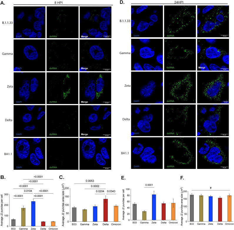 Figure 6