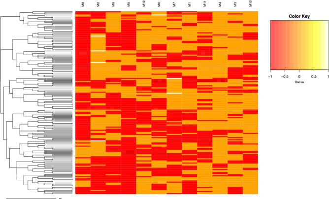 Figure 6