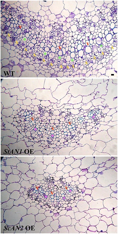 Figure 4
