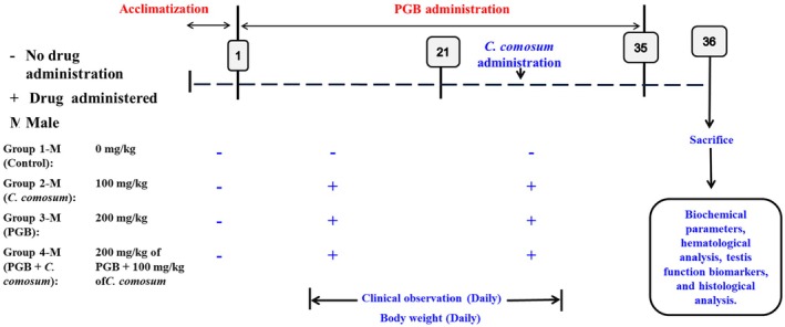 FIGURE 1