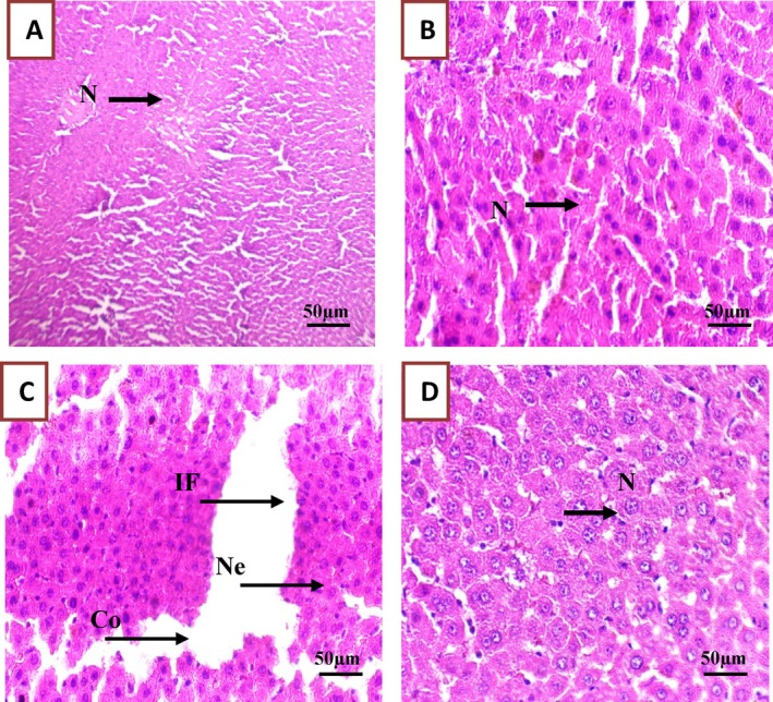 FIGURE 10