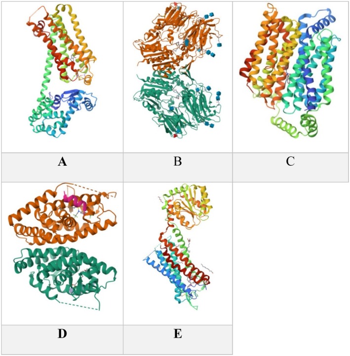 FIGURE 13