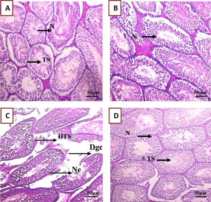 FIGURE 12