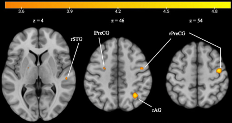 Fig. 7