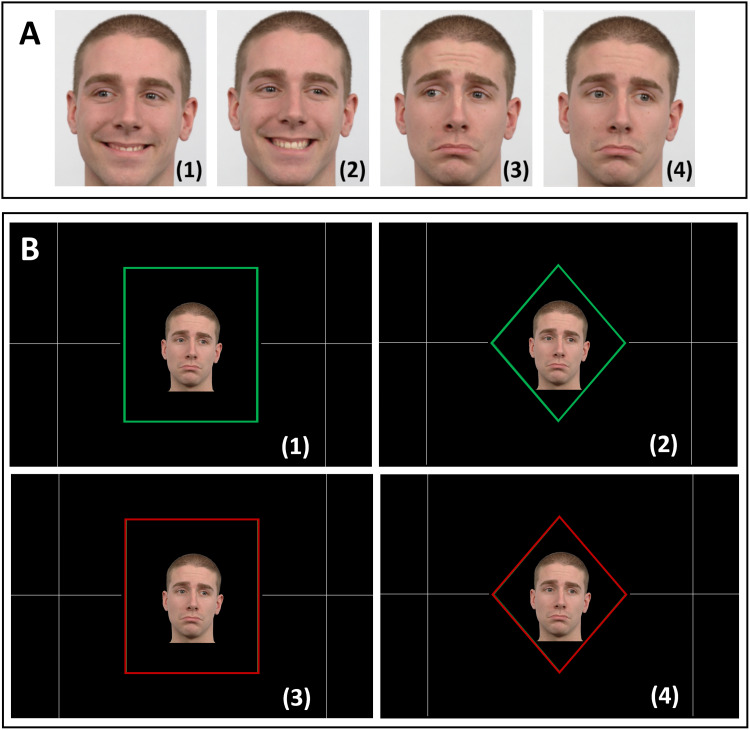 Fig. 1