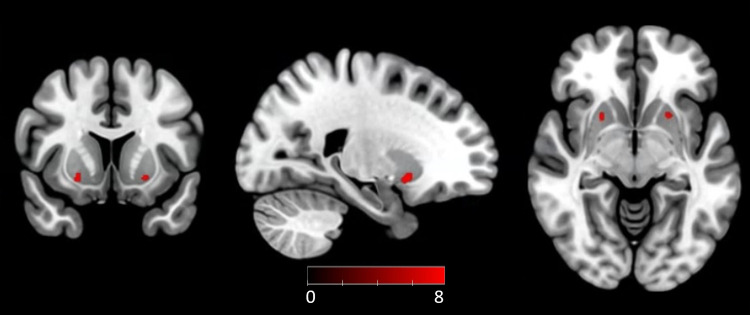Fig. 5