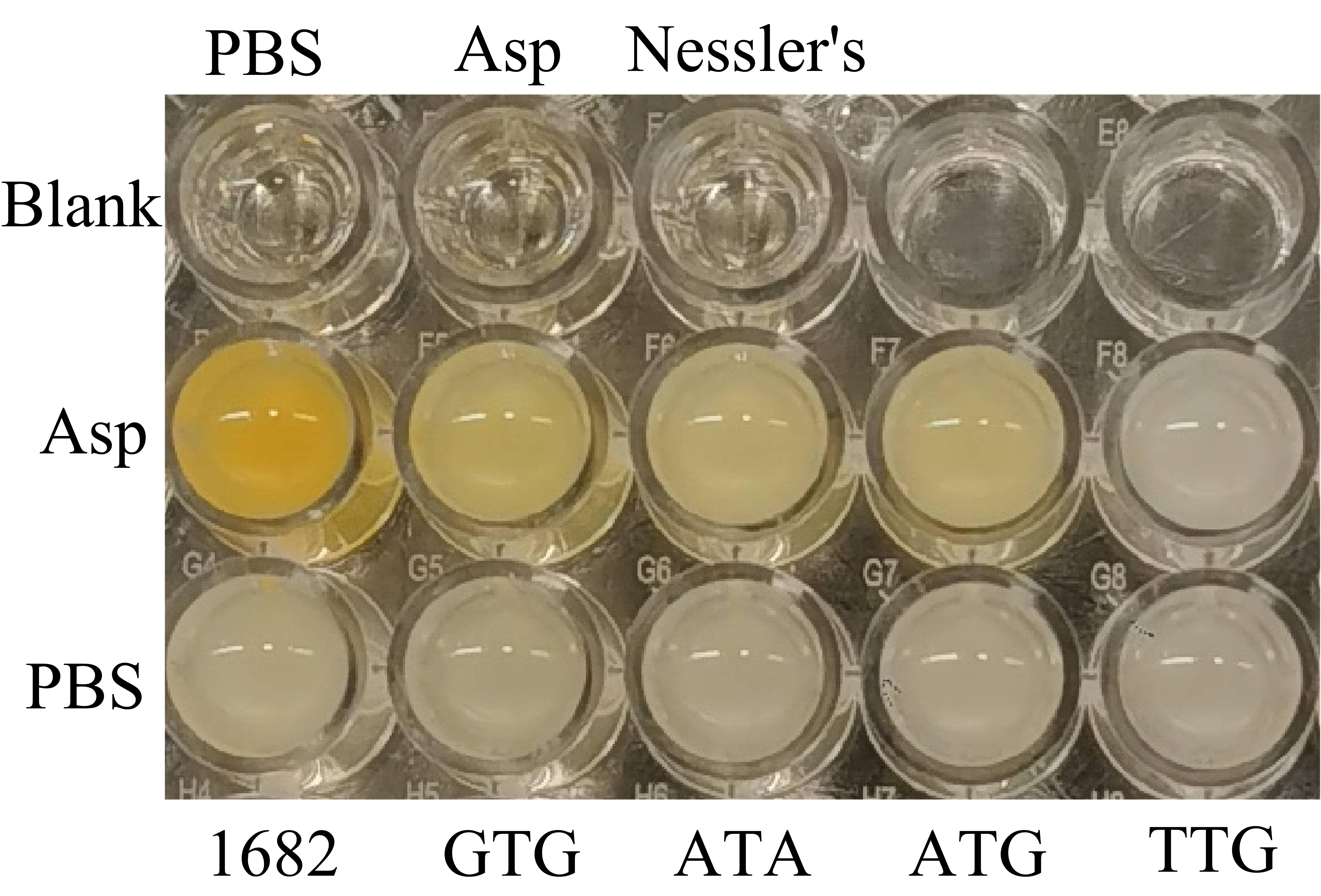 Figure 15