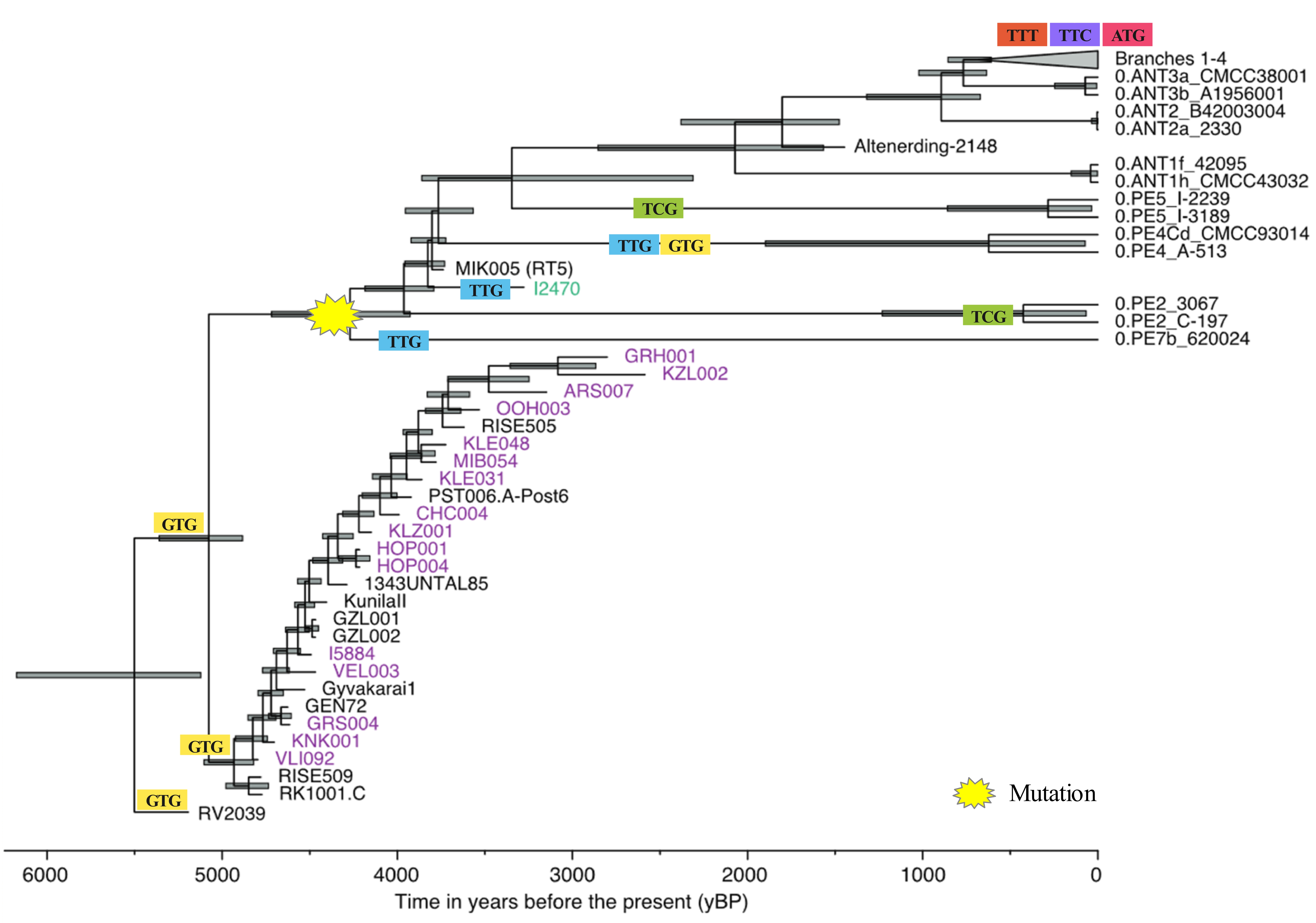 Figure 16