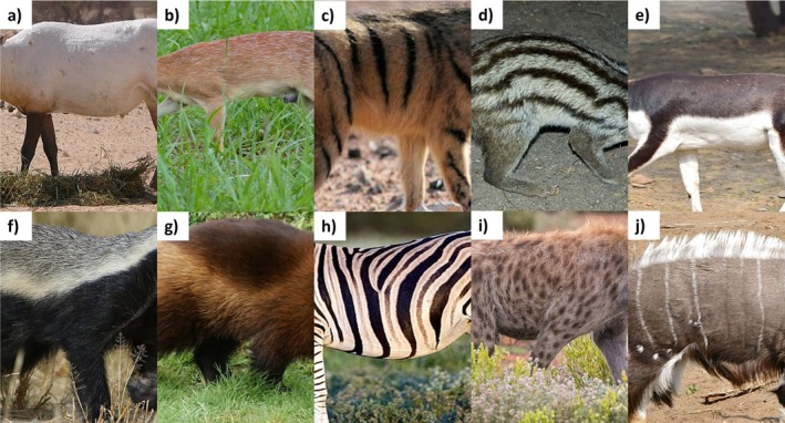 FIGURE 3