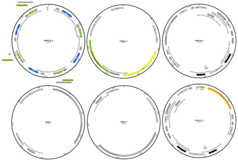 Figure 6