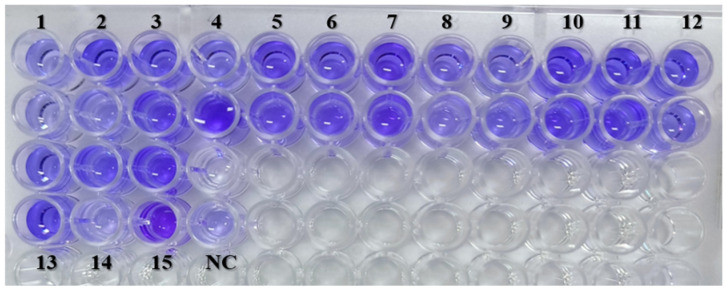 Figure 4