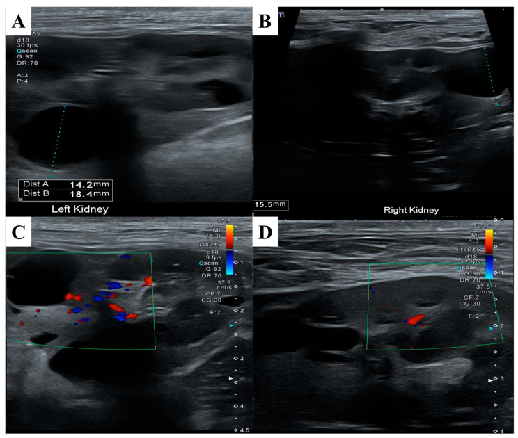 Figure 4